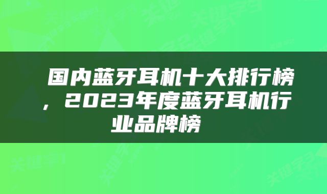  国内蓝牙耳机十大排行榜，2023年度蓝牙耳机行业品牌榜 