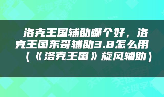  洛克王国辅助哪个好，洛克王国东哥辅助3.8怎么用（《洛克王国》旋风辅助） 