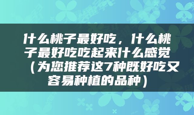 什么桃子最好吃,什么桃子最好吃吃起来什么感觉(为您推荐这7种既好吃又容易种植的品种)
