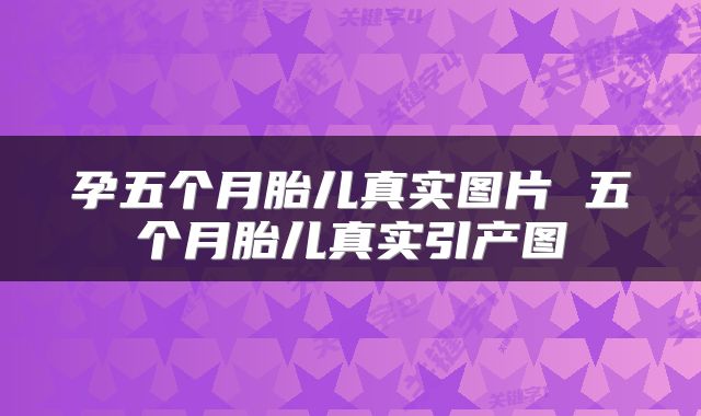 孕五个月胎儿真实图片 五个月胎儿真实引产图