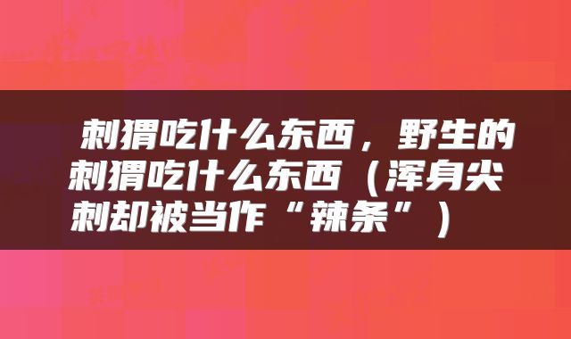  刺猬吃什么东西，野生的刺猬吃什么东西（浑身尖刺却被当作“辣条”） 