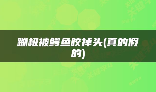 蹦极被鳄鱼咬掉头(真的假的)
