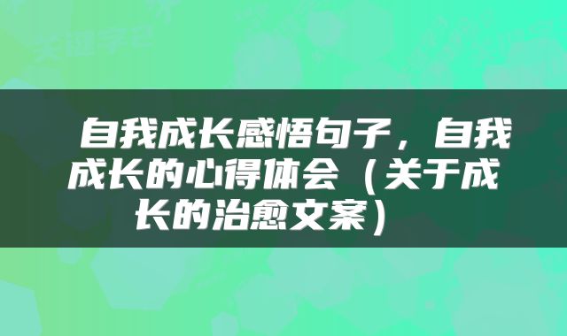  自我成长感悟句子，自我成长的心得体会（关于成长的治愈文案） 