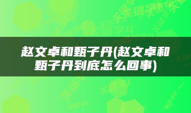 赵文卓和甄子丹(赵文卓和甄子丹到底怎么回事)