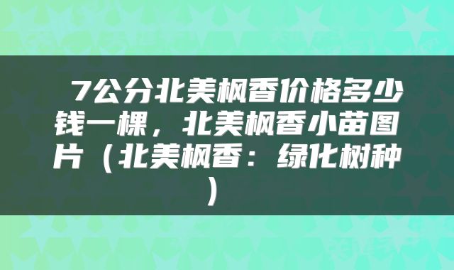  7公分北美枫香价格多少钱一棵，北美枫香小苗图片（北美枫香：绿化树种） 