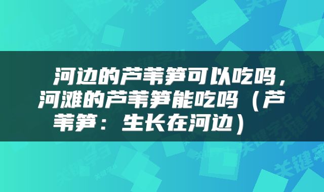  河边的芦苇笋可以吃吗，河滩的芦苇笋能吃吗（芦苇笋：生长在河边） 