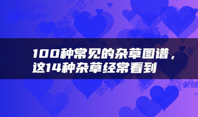  100种常见的杂草图谱，这14种杂草经常看到 
