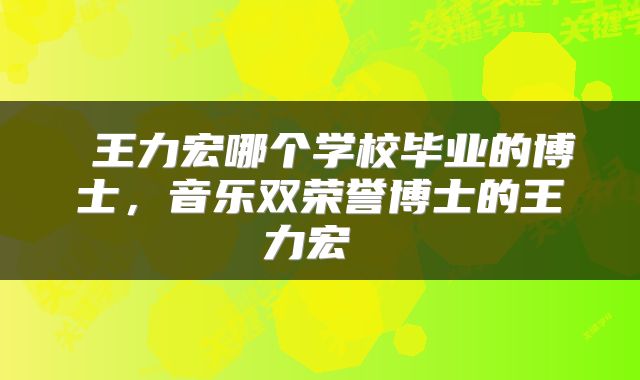  王力宏哪个学校毕业的博士，音乐双荣誉博士的王力宏 