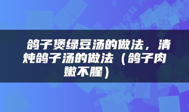 鸽子煲绿豆汤的做法,清炖鸽子汤的做法(鸽子肉嫩不腥)