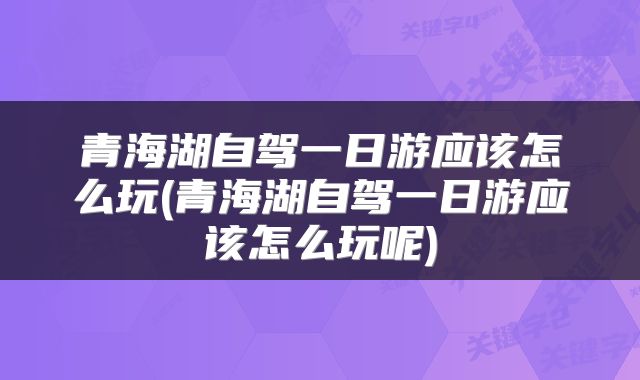 青海湖自驾一日游应该怎么玩(青海湖自驾一日游应该怎么玩呢)