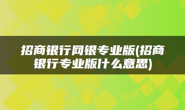招商银行网银专业版(招商银行专业版什么意思)