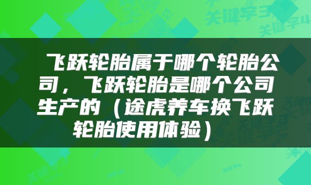  飞跃轮胎属于哪个轮胎公司，飞跃轮胎是哪个公司生产的（途虎养车换飞跃轮胎使用体验） 