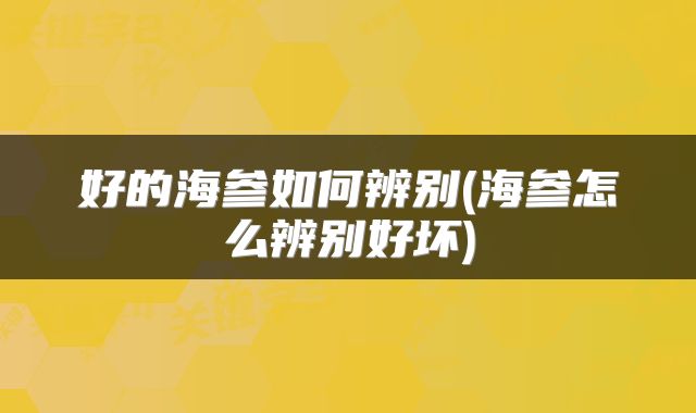 好的海参如何辨别(海参怎么辨别好坏)