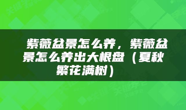  紫薇盆景怎么养，紫薇盆景怎么养出大根盘（夏秋繁花满树） 