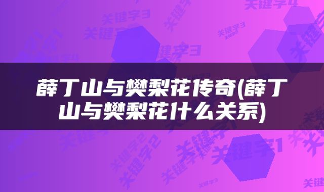薛丁山与樊梨花传奇(薛丁山与樊梨花什么关系)