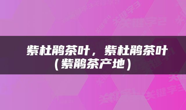 紫杜鹃茶叶，紫杜鹃茶叶（紫鹃茶产地） 