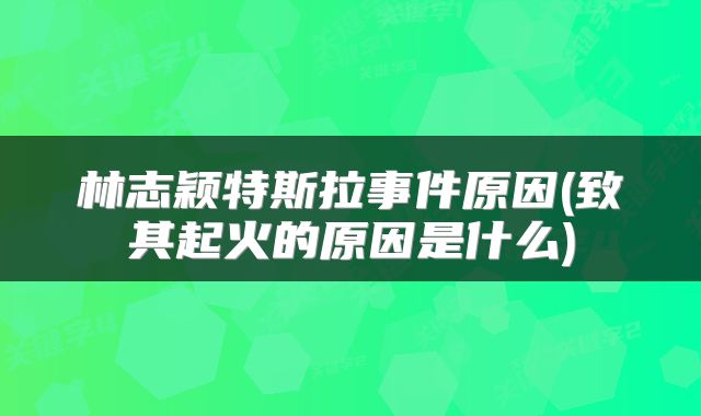 林志颖特斯拉事件原因(致其起火的原因是什么)