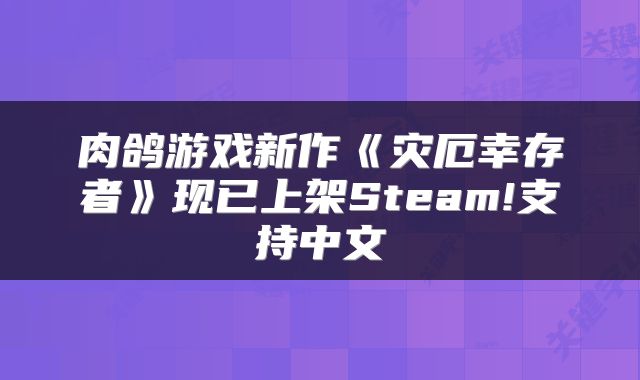 肉鸽游戏新作《灾厄幸存者》现已上架Steam!支持中文