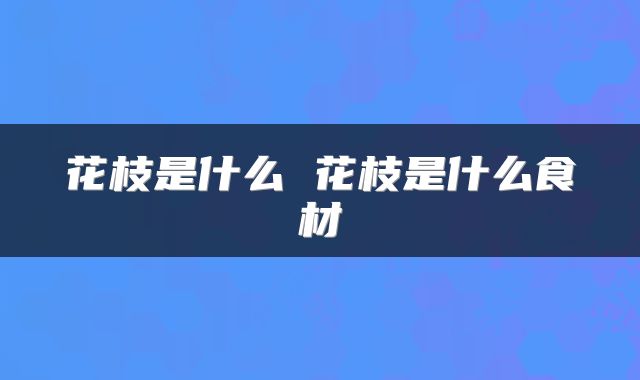 花枝是什么 花枝是什么食材