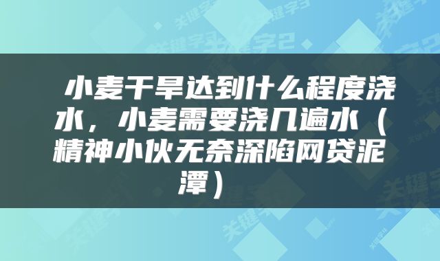  小麦干旱达到什么程度浇水，小麦需要浇几遍水（精神小伙无奈深陷网贷泥潭） 