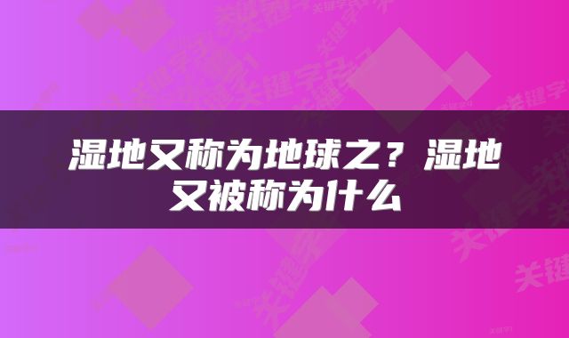 湿地又称为地球之？湿地又被称为什么