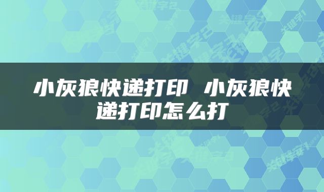 小灰狼快递打印 小灰狼快递打印怎么打