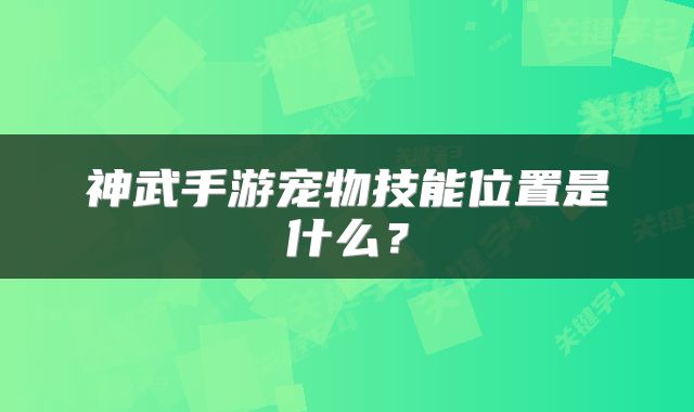 神武手游宠物技能位置是什么？