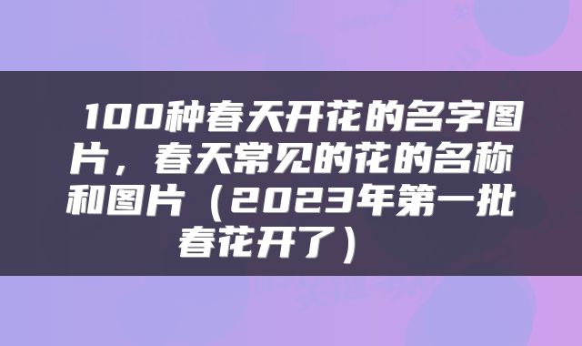  100种春天开花的名字图片，春天常见的花的名称和图片（2023年第一批春花开了） 