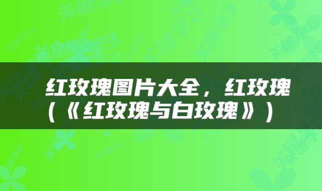  红玫瑰图片大全，红玫瑰（《红玫瑰与白玫瑰》） 