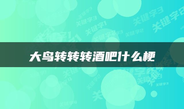 大鸟转转转酒吧什么梗