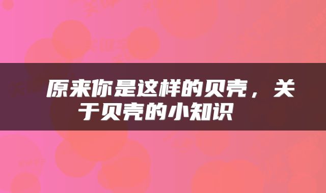  原来你是这样的贝壳，关于贝壳的小知识 