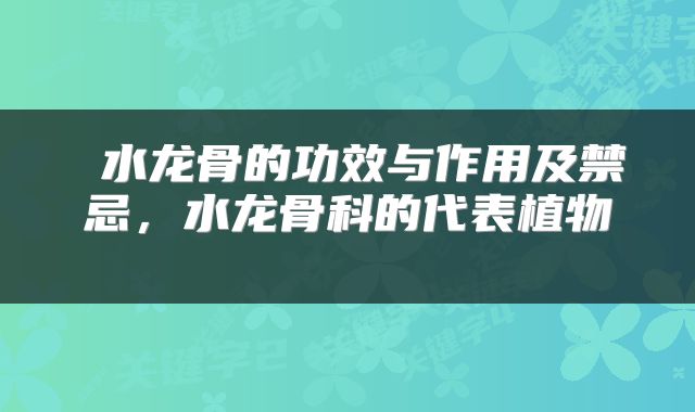  水龙骨的功效与作用及禁忌，水龙骨科的代表植物 