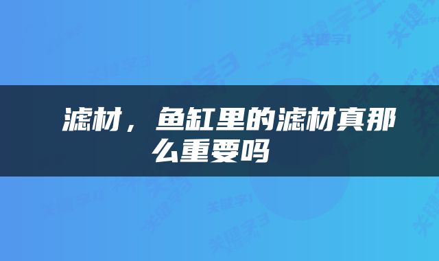  滤材，鱼缸里的滤材真那么重要吗 