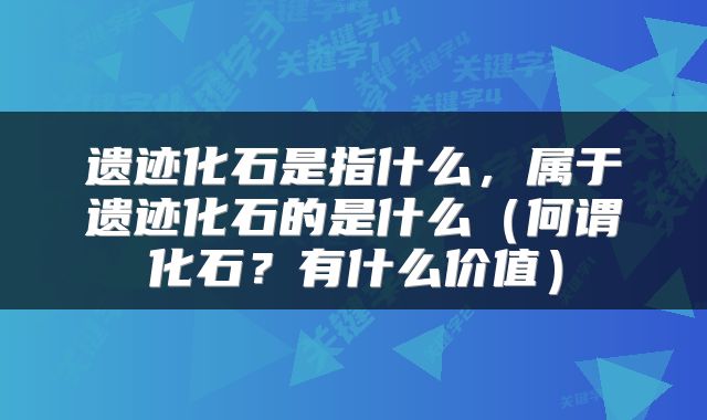 遗迹化石是指什么,属于遗迹化石的是什么(何谓化石?有什么价值)