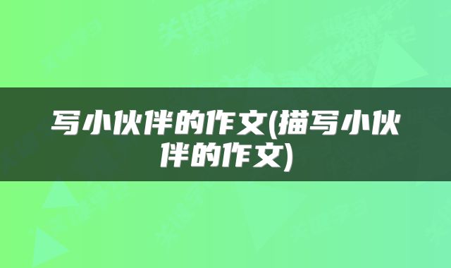 写小伙伴的作文(描写小伙伴的作文)