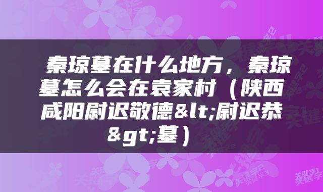  秦琼墓在什么地方，秦琼墓怎么会在袁家村（陕西咸阳尉迟敬德<尉迟恭>墓） 