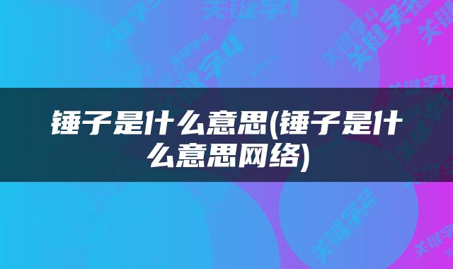 锤子是什么意思(锤子是什么意思网络)