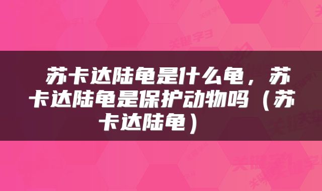  苏卡达陆龟是什么龟，苏卡达陆龟是保护动物吗（苏卡达陆龟） 
