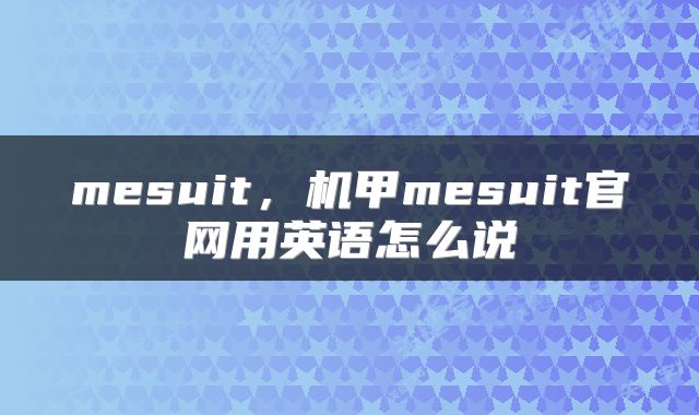 mesuit，机甲mesuit官网用英语怎么说