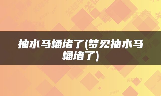 抽水马桶堵了(梦见抽水马桶堵了)