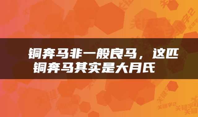  铜奔马非一般良马，这匹铜奔马其实是大月氏 