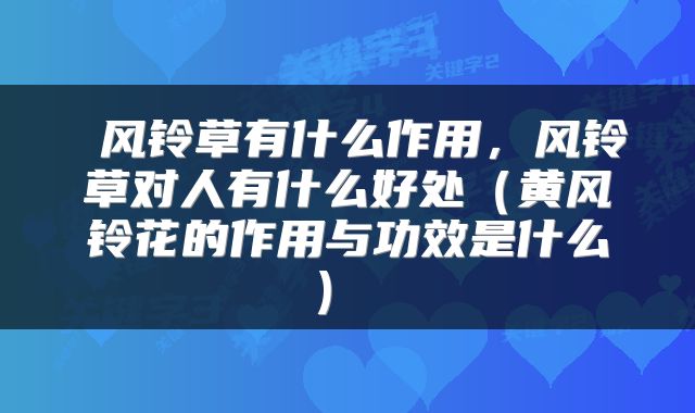  风铃草有什么作用，风铃草对人有什么好处（黄风铃花的作用与功效是什么） 