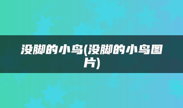 没脚的小鸟(没脚的小鸟图片)