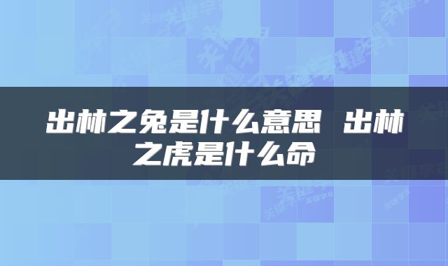 出林之兔是什么意思 出林之虎是什么命