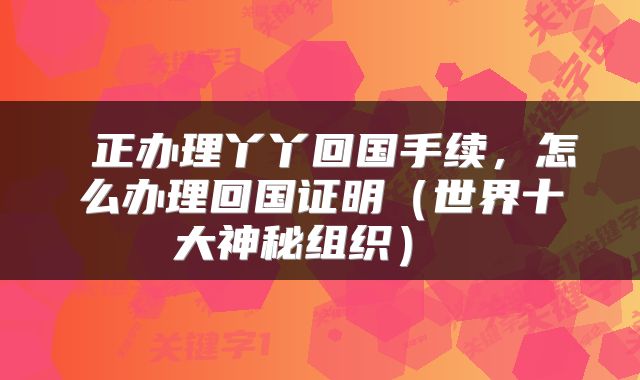  正办理丫丫回国手续，怎么办理回国证明（世界十大神秘组织） 