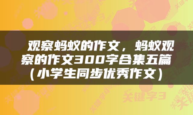  观察蚂蚁的作文，蚂蚁观察的作文300字合集五篇（小学生同步优秀作文） 