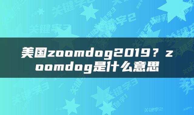 美国zoomdog2019？zoomdog是什么意思