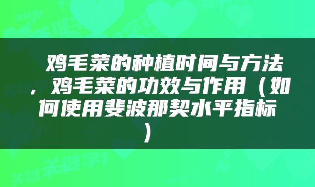  鸡毛菜的种植时间与方法，鸡毛菜的功效与作用（如何使用斐波那契水平指标） 