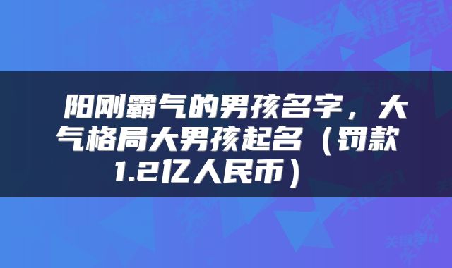  阳刚霸气的男孩名字，大气格局大男孩起名（罚款1.2亿人民币） 