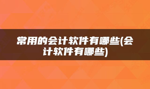常用的会计软件有哪些(会计软件有哪些)